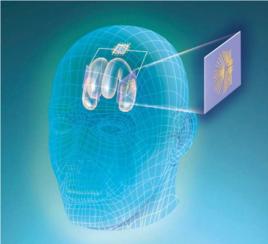 晶片神經傳導 晶片神經傳導