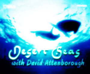 沙漠之海 沙漠之海