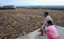 災害過後的大麻里鄉