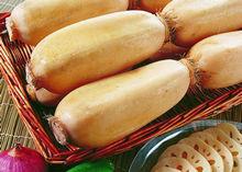 藕[睡蓮科植物的根莖]