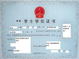 醫學學士 醫學學士