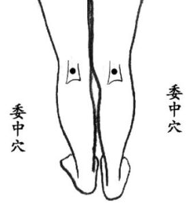 委中穴 委中穴