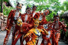 三亞宋城彩色動物園“母老虎”出逃