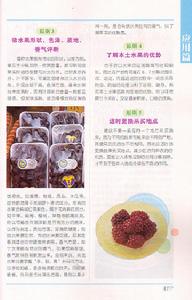 《水果排毒瘦身法》 《水果排毒瘦身法》