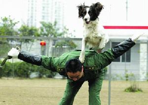 訓練搜救犬
