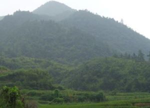 善塘坳阻擊戰 善塘坳阻擊戰