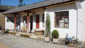 九龍自然村 九龍自然村