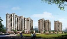 興汝·金城 興汝·金城