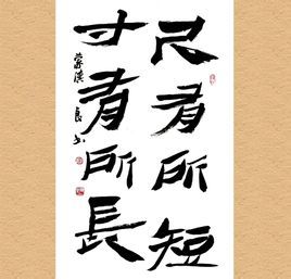 尺有所短,寸有所長 尺有所短,寸有所長