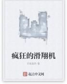 瘋狂的滑翔機 瘋狂的滑翔機