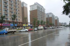 麗水金陽 麗水金陽