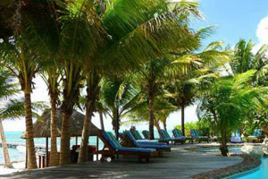 熱帶小島找水晶 熱帶小島找水晶