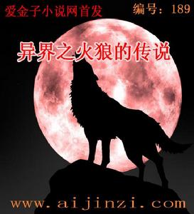 異界之火狼的傳說封面