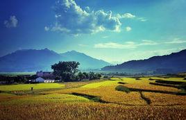 田園[詞語解釋]