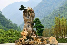 重慶萬盛黑山谷 重慶萬盛黑山谷