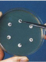 藥敏試驗 藥敏試驗