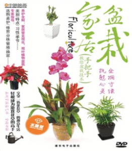 家居盆栽 家居盆栽