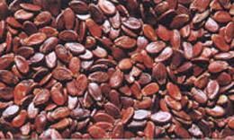 道縣紅瓜子 道縣紅瓜子