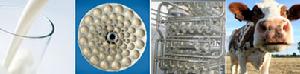 乳製品濃縮分離用反