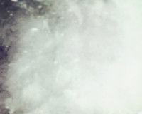 楚玉[僵生小說中的古玉]