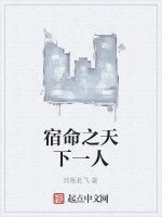 宿命之天下一人