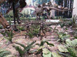 卡內基自然歷史博物館 卡內基自然歷史博物館