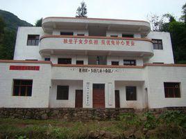 河口村[雲南昭通市威信縣扎西鎮下轄村]