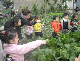 生成課程 生成課程