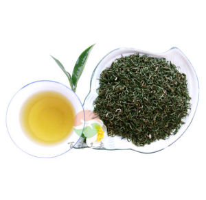 東風菜茶 東風菜茶