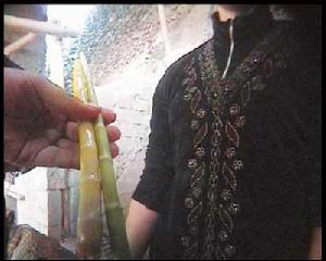 （圖）竹筍保鮮用硫磺和工業鹽