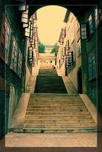 武漢大學百步梯 武漢大學百步梯