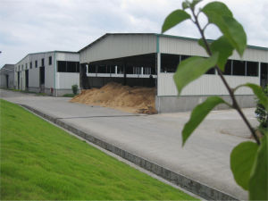 福建元力活性炭股份有限公司