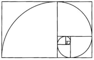 反向分割 反向分割