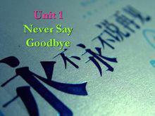 never say goodbye