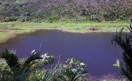 海南南坤民族風情旅遊區 海南南坤民族風情旅遊區