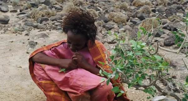 “沙漠之花”——4歲遭強暴、5歲被割禮,最終成為世界頂級超模