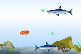 小金魚吃泡泡 小金魚吃泡泡