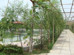 農家大院生態園 農家大院生態園