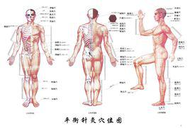 平衡針灸 平衡針灸