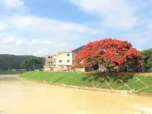 陳平社[福建省漳州市龍海市海澄鎮下轄社]