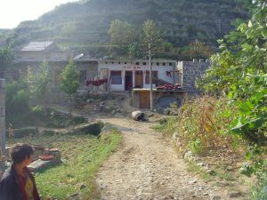 李寨自然村 李寨自然村