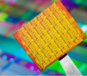 矽烯電晶體 矽烯電晶體