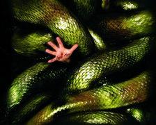 狂蟒之災2:搜尋血蘭 狂蟒之災2:搜尋血蘭