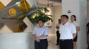 張立東視察工作