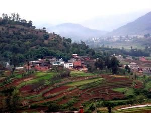 上鴿飛村 上鴿飛村