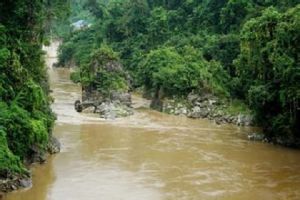 盈江落水洞 盈江落水洞
