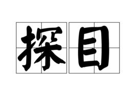 探目 探目
