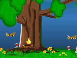 小鳥救生員 小鳥救生員