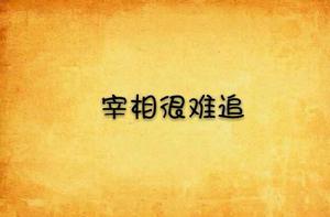 宰相很難追 宰相很難追