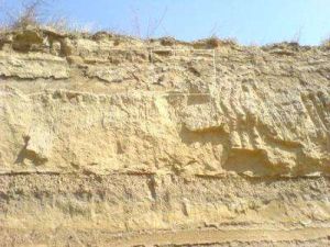 馬莊新石器時期遺址 馬莊新石器時期遺址